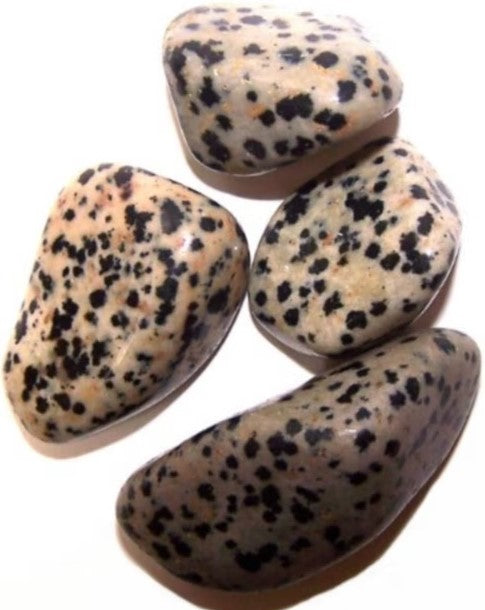 Tumlad Sten Dalmatian Jasper 2-3 cm