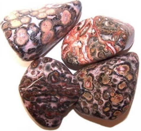 Tumlad Sten Leopard Jaspis 2-3 cm